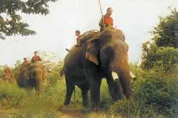 Chào hàng tour mới