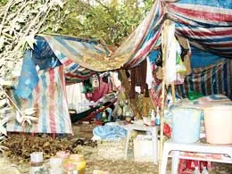 Nhà cụ Vương Hồng Sển...sắp sập! ảnh 2