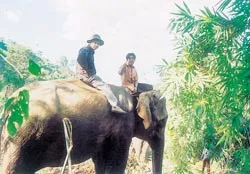 Bài 2: Khám phá Trường Sơn