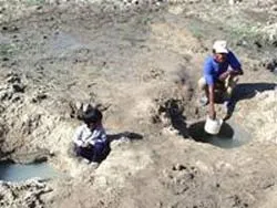 Ngày 19-9 xét xử vụ “phát gạo mốc cho dân”