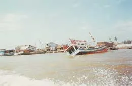 Những điều cần biết