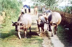 Chuyện ghi trên đỉnh Khau Hán ảnh 2 Chuyện ghi trên đỉnh Khau Hán ảnh 2