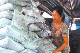 Móc cống ra… vàng ảnh 2 Móc cống ra… vàng ảnh 2