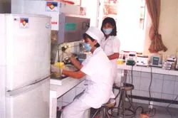 Phòng chống sốt rét toàn cầu