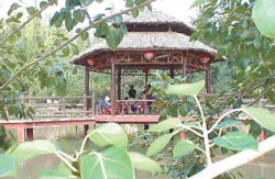 Đà Lạt trên sa mạc