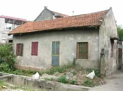 Chỉ là tin hoang báo