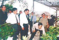 Bài 1: Ông đại tá – kỹ sư với trang trại 200ha ảnh 2 Bài 1: Ông đại tá – kỹ sư với trang trại 200ha ảnh 2