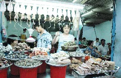 Rủ nhau ăn ốc