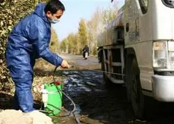 Dịch cúm gia cầm tiếp tục lan rộng tại châu Á
