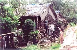 “Đi thì dở, ở không xong”