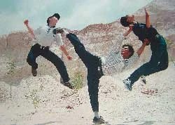 Cascadeur - Nghề mạo hiểm