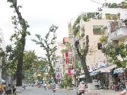 Sẽ “đua nước rút”?
