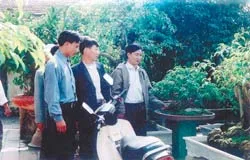 Làng... tỷ phú ảnh 2 Làng... tỷ phú ảnh 2