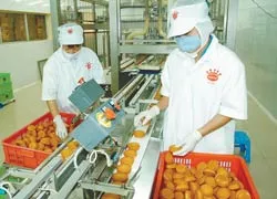 Nỗ lực đáp ứng lòng tin của nhà đầu tư