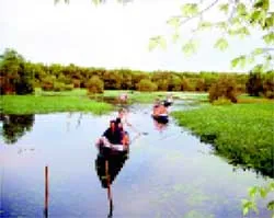Gặp gỡ giữa rừng tràm Trà Sư