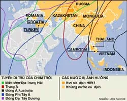 Thống nhất chiến lược phòng chống cúm gia cầm ảnh 2 Thống nhất chiến lược phòng chống cúm gia cầm ảnh 2