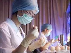 Viện Pasteur hoàn thành việc giải mã gien virus H5N1