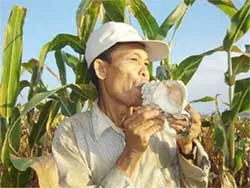Trung đội… “ốc u” ảnh 2 Trung đội… “ốc u” ảnh 2