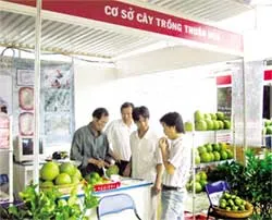 Nông dân “mê” hội chợ