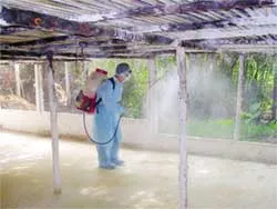 Quyết liệt, triệt để nhưng không thái quá