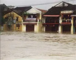 Quảng Ngãi: Thêm 2 người chết do lũ