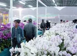 Mới lạ, độc đáo và hấp dẫn