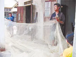 Ngư dân kiếm tiền triệu mỗi đêm từ cá mú