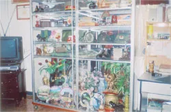 Gia tài cho con