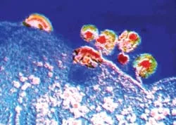 Kem phòng chống HIV cho phụ nữ