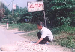 Ai nhớ? ảnh 2 Ai nhớ? ảnh 2