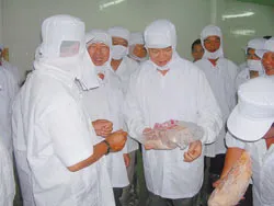 Kích hoạt thị trường gia cầm sạch bệnh bị đóng băng