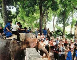 Hà Nội chuẩn bị đón du khách quốc tế thứ 1 triệu