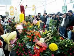Cùng thành phố hoa vào lễ hội… ảnh 4 Cùng thành phố hoa vào lễ hội… ảnh 4