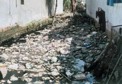 “Rạch rác”
