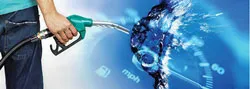 Những công ty năng lượng “thân thiện môi trường”