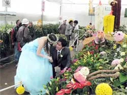 Triển vọng một, bất cập mười