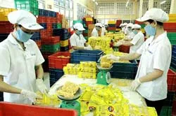 Những thành công bước đầu