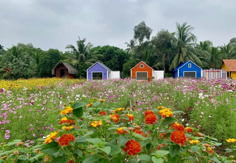 Phát huy giá trị di sản lịch sử, văn hóa vùng đất Hóc Môn trong phát triển du lịch ảnh 3