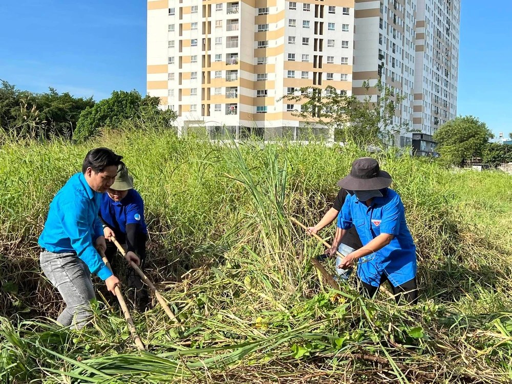 Dọn dẹp vệ sinh khu vực dân cư phường Đông Hưng Thuận