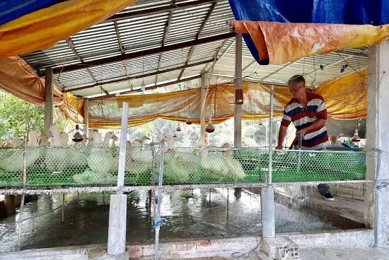 Tây Ninh chú trọng phát triển ngành chăn nuôi ứng dụng công nghệ cao ảnh 3