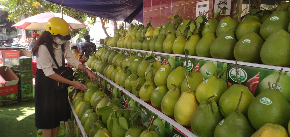 Giá bưởi Tân Triều tăng, hút hàng trên thị trường ảnh 7 Giá bưởi Tân Triều tăng, hút hàng trên thị trường ảnh 7