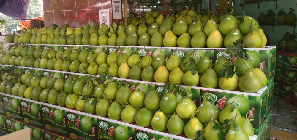 Giá bưởi Tân Triều tăng, hút hàng trên thị trường ảnh 8 Giá bưởi Tân Triều tăng, hút hàng trên thị trường ảnh 8