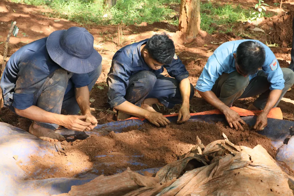 Bình Phước: Tìm kiếm, quy tập được 24 bộ hài cốt liệt sĩ trong lô cao su ảnh 1