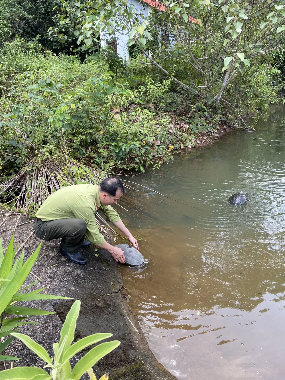 Bình Phước: Thả 112 thú hoang dã quý hiếm về Vườn quốc gia Bù Gia Mập ảnh 1