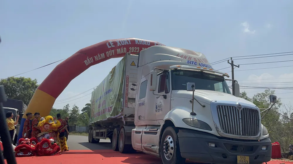 Chuyến hàng chuối tươi xuất khẩu đầu năm 2023 Chuyến hàng chuối tươi xuất khẩu đầu năm 2023