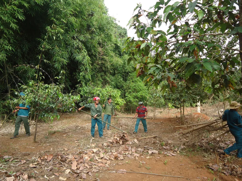Cộng đồng nhận giao khoán rừng ở Vườn quốc gia Bù Gia Mập làm tốt công tác bảo vệ rừng vào mùa khô Cộng đồng nhận giao khoán rừng ở Vườn quốc gia Bù Gia Mập làm tốt công tác bảo vệ rừng vào mùa khô