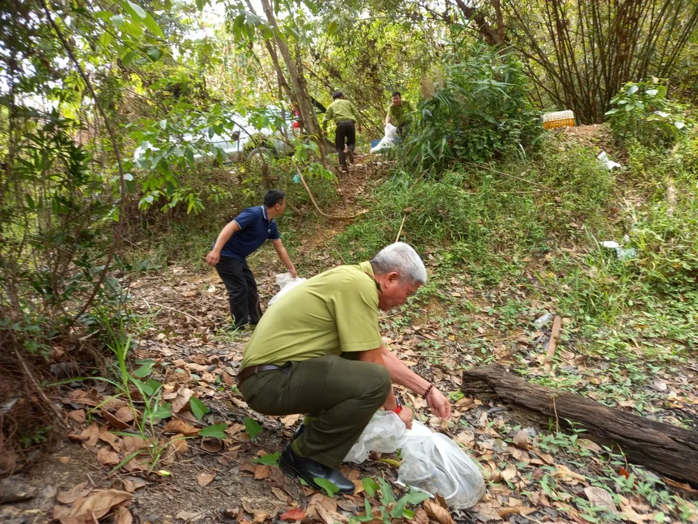 Lực lượng chức năng thả nhiều loài động vật về rừng Lực lượng chức năng thả nhiều loài động vật về rừng