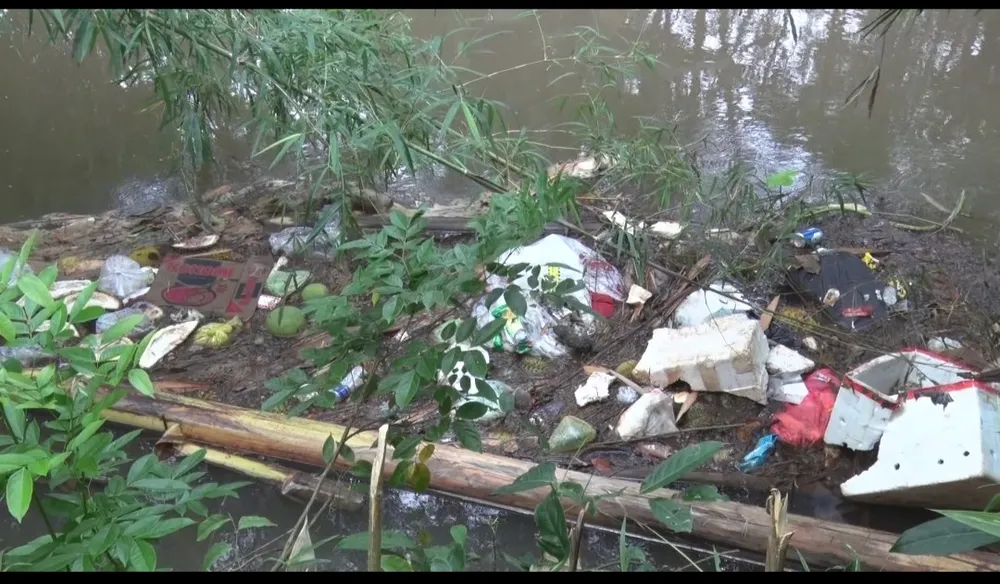 Xác heo chết trước đó bốc mùi hôi thối, nồng nặc Xác heo chết trước đó bốc mùi hôi thối, nồng nặc