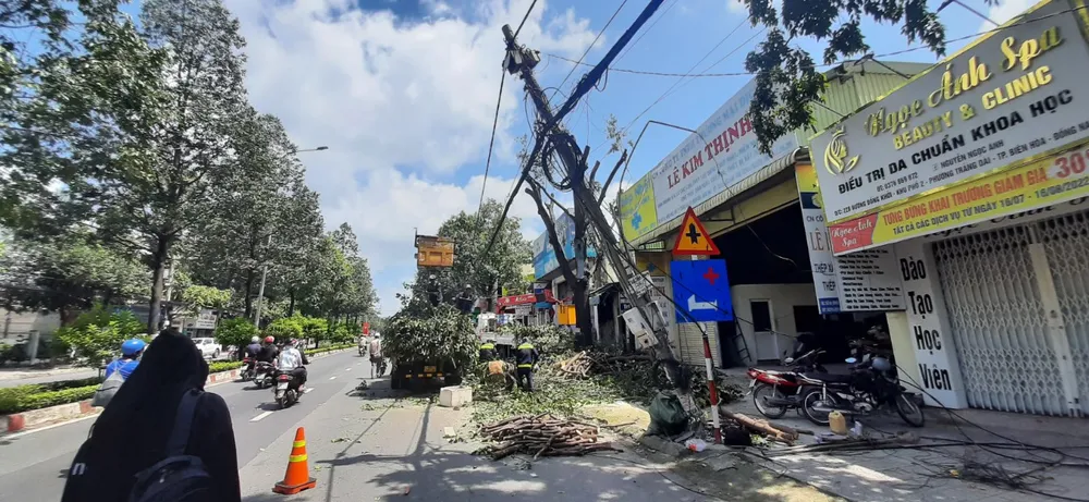 Cây xanh gãy đổ khiến 300 hộ dân mất điện