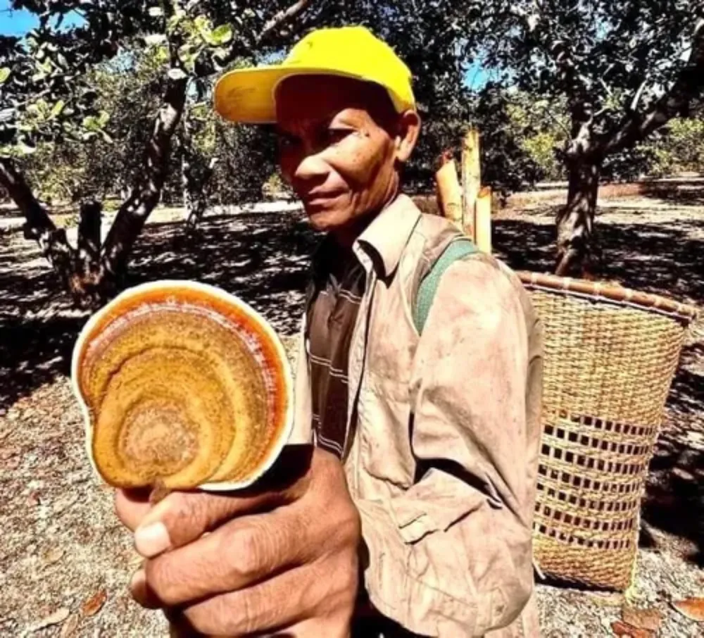 Ông K’Sơ đã chết cách đây khoảng 4 ngày tại khu vực Suối Đá, cách Bàu Sấu (rừng Cát Tiên) khoảng 2km Ông K’Sơ đã chết cách đây khoảng 4 ngày tại khu vực Suối Đá, cách Bàu Sấu (rừng Cát Tiên) khoảng 2km